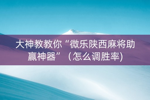 大神教教你“微乐陕西麻将助赢神器”（怎么调胜率)
