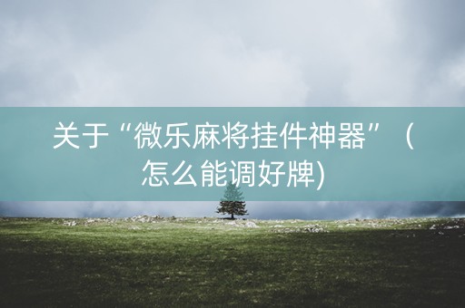 关于“微乐麻将挂件神器”（怎么能调好牌)
