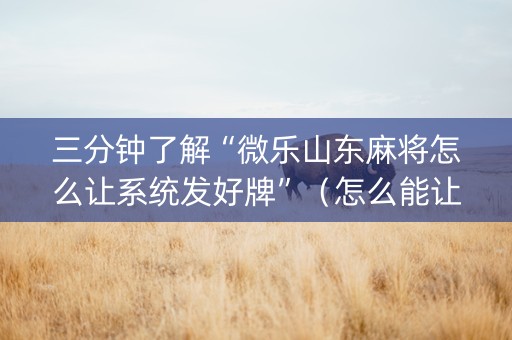 三分钟了解“微乐山东麻将怎么让系统发好牌”（怎么能让牌好一点)