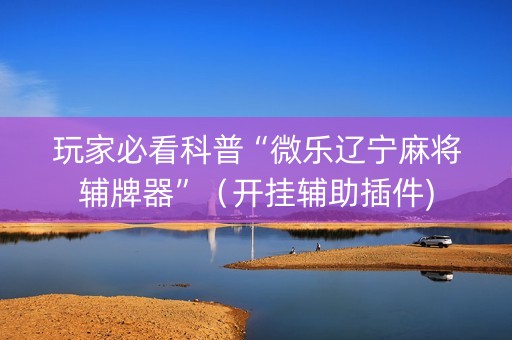 玩家必看科普“微乐辽宁麻将辅牌器”（开挂辅助插件)