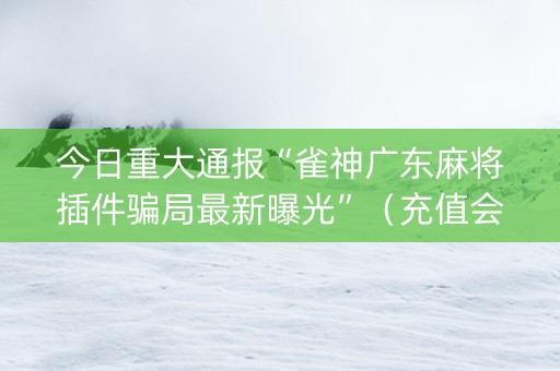 今日重大通报“雀神广东麻将插件骗局最新曝光”（充值会提高胜率么)
