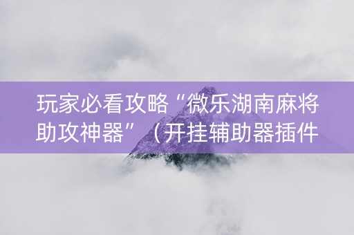玩家必看攻略“微乐湖南麻将助攻神器”（开挂辅助器插件)
