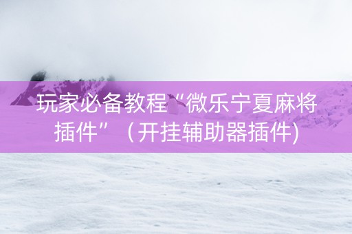 玩家必备教程“微乐宁夏麻将插件”（开挂辅助器插件)
