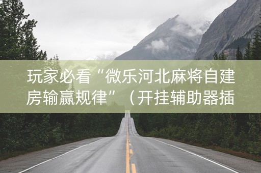 玩家必看“微乐河北麻将自建房输赢规律”（开挂辅助器插件)