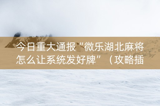 今日重大通报“微乐湖北麻将怎么让系统发好牌”（攻略插件)
