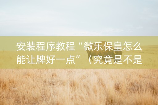 安装程序教程“微乐保皇怎么能让牌好一点”（究竟是不是有挂)