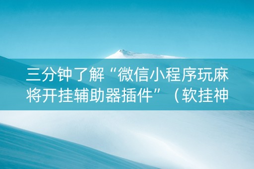 三分钟了解“微信小程序玩麻将开挂辅助器插件”（软挂神器)