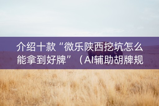 介绍十款“微乐陕西挖坑怎么能拿到好牌”（AI辅助胡牌规则)