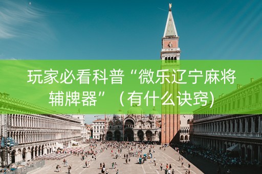 玩家必看科普“微乐辽宁麻将辅牌器”（有什么诀窍)