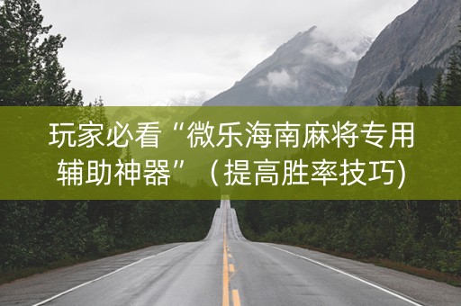 玩家必看“微乐海南麻将专用辅助神器”（提高胜率技巧)