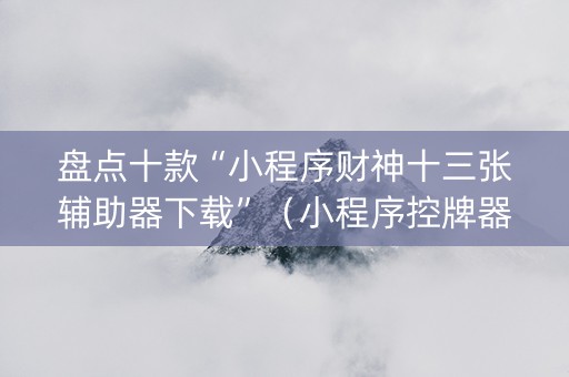 盘点十款“小程序财神十三张辅助器下载”（小程序控牌器)