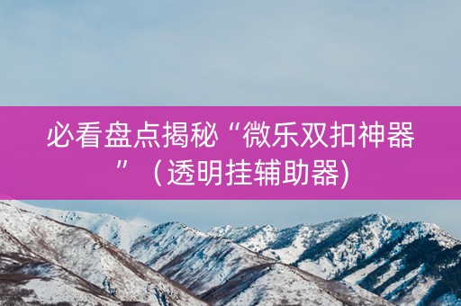 必看盘点揭秘“微乐双扣神器”（透明挂辅助器)