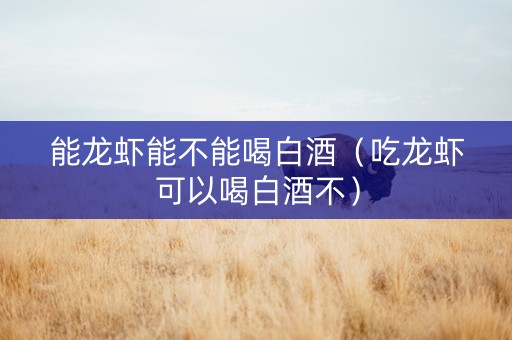 能龙虾能不能喝白酒（吃龙虾可以喝白酒不）