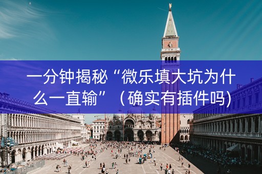 一分钟揭秘“微乐填大坑为什么一直输”（确实有插件吗)