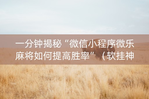 一分钟揭秘“微信小程序微乐麻将如何提高胜率”（软挂神器)