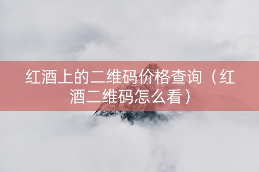 红酒上的二维码价格查询（红酒二维码怎么看）