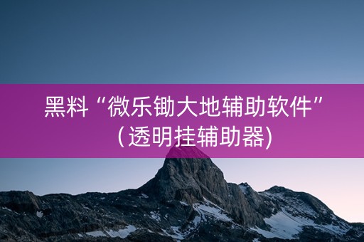 黑料“微乐锄大地辅助软件”（透明挂辅助器)
