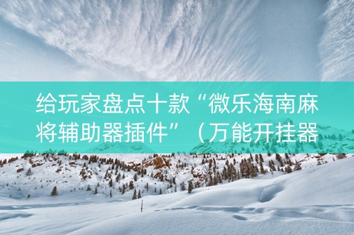 给玩家盘点十款“微乐海南麻将辅助器插件”（万能开挂器)