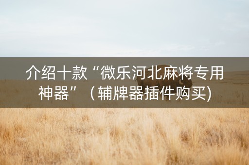 介绍十款“微乐河北麻将专用神器”（辅牌器插件购买)
