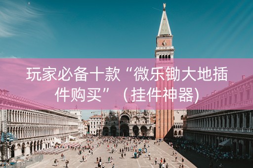 玩家必备十款“微乐锄大地插件购买”（挂件神器)