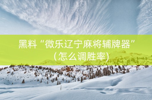 黑料“微乐辽宁麻将辅牌器”（怎么调胜率)