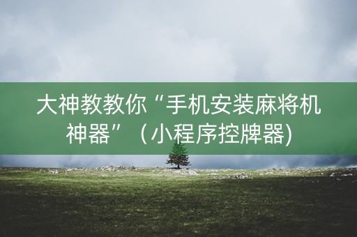大神教教你“手机安装麻将机神器”（小程序控牌器)