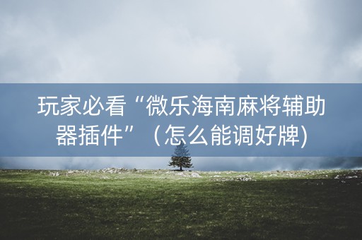 玩家必看“微乐海南麻将辅助器插件”（怎么能调好牌)