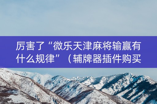 厉害了“微乐天津麻将输赢有什么规律”（辅牌器插件购买)