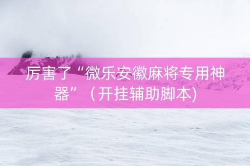 厉害了“微乐安徽麻将专用神器”（开挂辅助脚本)