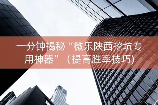一分钟揭秘“微乐陕西挖坑专用神器”（提高胜率技巧)