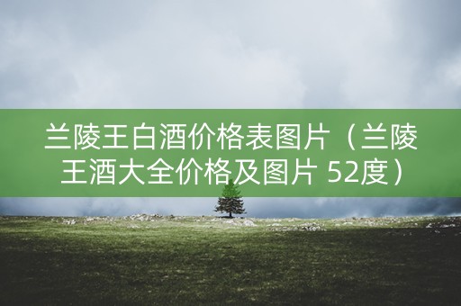 兰陵王白酒价格表图片（兰陵王酒大全价格及图片 52度）