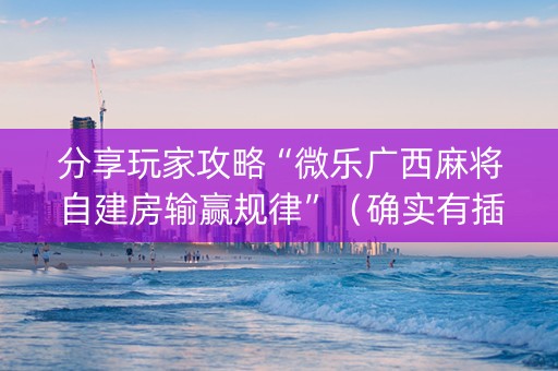 分享玩家攻略“微乐广西麻将自建房输赢规律”（确实有插件吗)