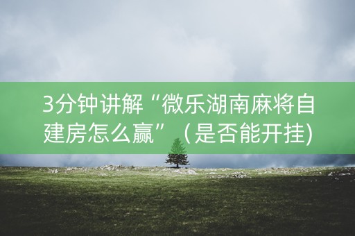 3分钟讲解“微乐湖南麻将自建房怎么赢”（是否能开挂)