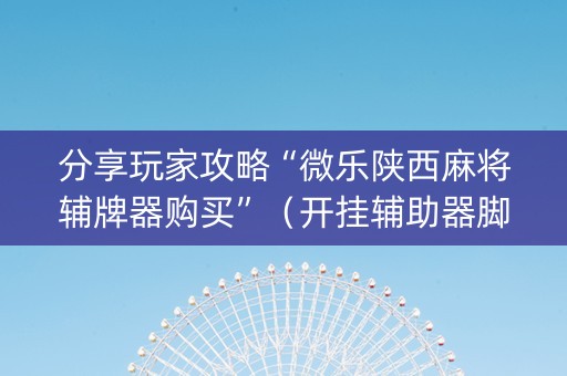 分享玩家攻略“微乐陕西麻将辅牌器购买”（开挂辅助器脚本)