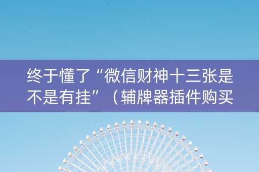 终于懂了“微信财神十三张是不是有挂”（辅牌器插件购买)