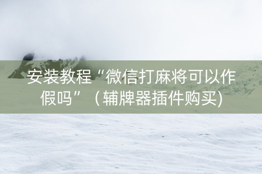 安装教程“微信打麻将可以作假吗”（辅牌器插件购买)