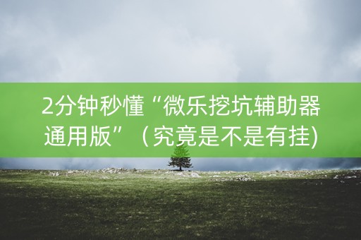 2分钟秒懂“微乐挖坑辅助器通用版”（究竟是不是有挂)