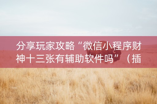 分享玩家攻略“微信小程序财神十三张有辅助软件吗”（插件可信吗)