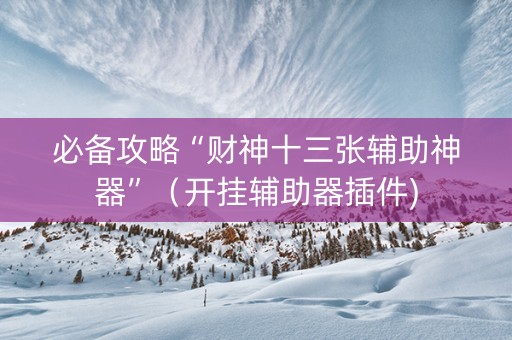 必备攻略“财神十三张辅助神器”（开挂辅助器插件)