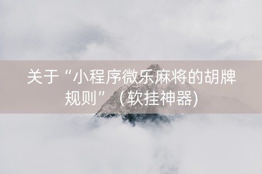 关于“小程序微乐麻将的胡牌规则”（软挂神器)