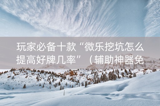 玩家必备十款“微乐挖坑怎么提高好牌几率”（辅助神器免费)
