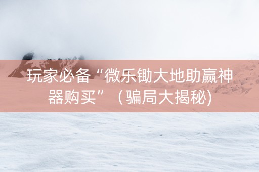 玩家必备“微乐锄大地助赢神器购买”（骗局大揭秘)
