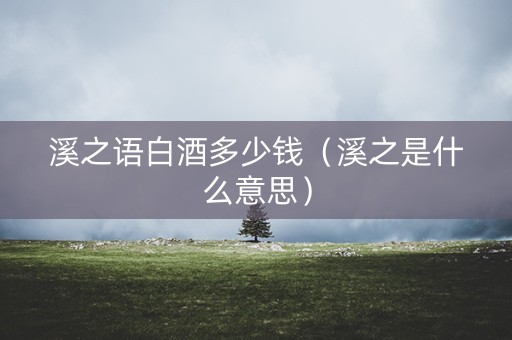 溪之语白酒多少钱（溪之是什么意思）
