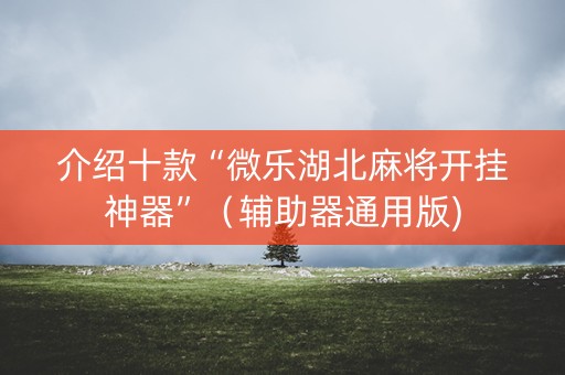 介绍十款“微乐湖北麻将开挂神器”（辅助器通用版)
