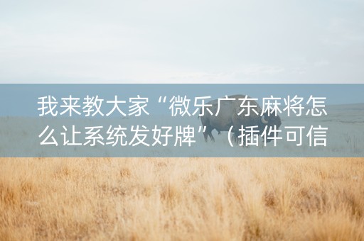我来教大家“微乐广东麻将怎么让系统发好牌”（插件可信吗)