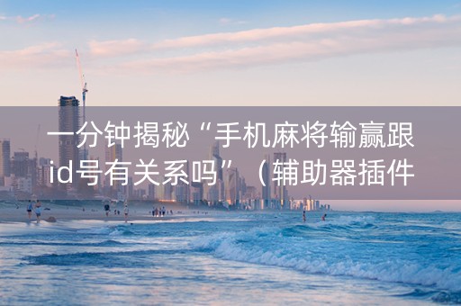 一分钟揭秘“手机麻将输赢跟id号有关系吗”（辅助器插件)