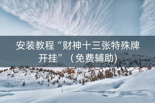 安装教程“财神十三张特殊牌开挂”（免费辅助)