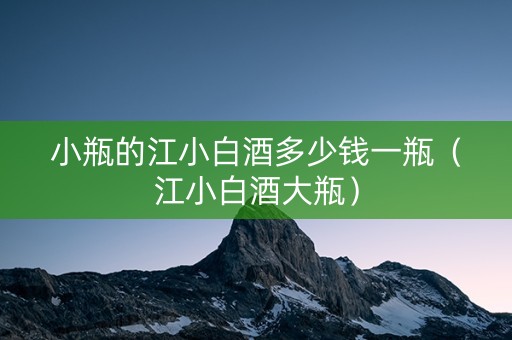 小瓶的江小白酒多少钱一瓶（江小白酒大瓶）