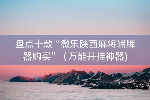 盘点十款“微乐陕西麻将辅牌器购买”（万能开挂神器)