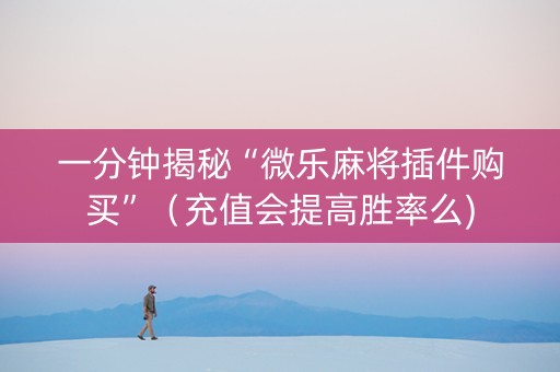 一分钟揭秘“微乐麻将插件购买”（充值会提高胜率么)